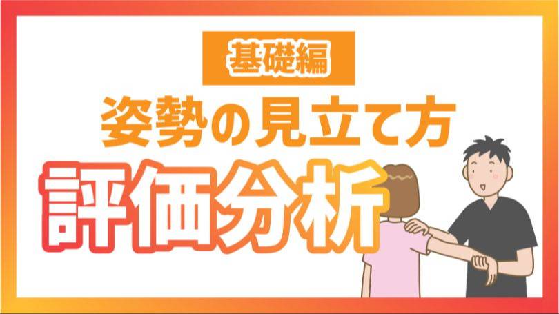 姿勢の見立て方 評価分析